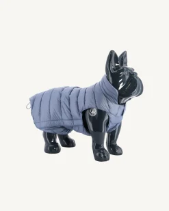 Doudoune Pour Chien Bleu Delave Woop*JOTT Best