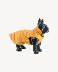 Doudoune Pour Chien Moutarde Woop*JOTT New
