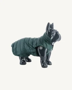 Doudoune Pour Chien Vert Fonce Woop*JOTT Best