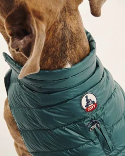 Doudoune Pour Chien Vert Fonce Woop*JOTT Best